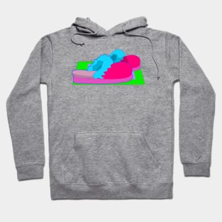 Colorful Slippers Hoodie